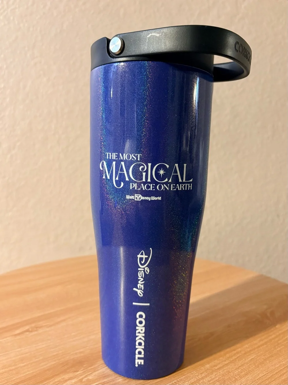 Disney Parks brand new